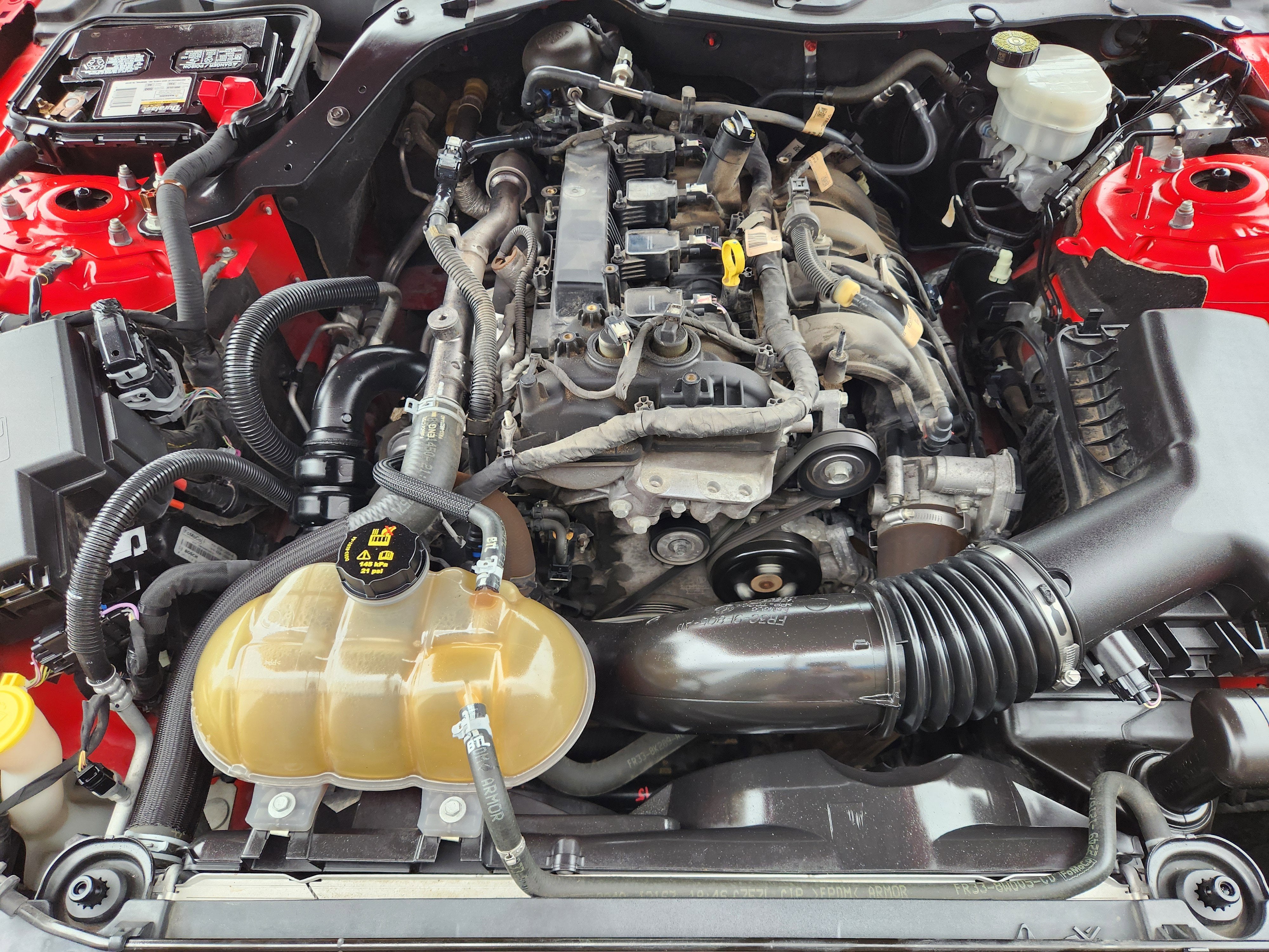 2019 Ford Mustang EcoBoost