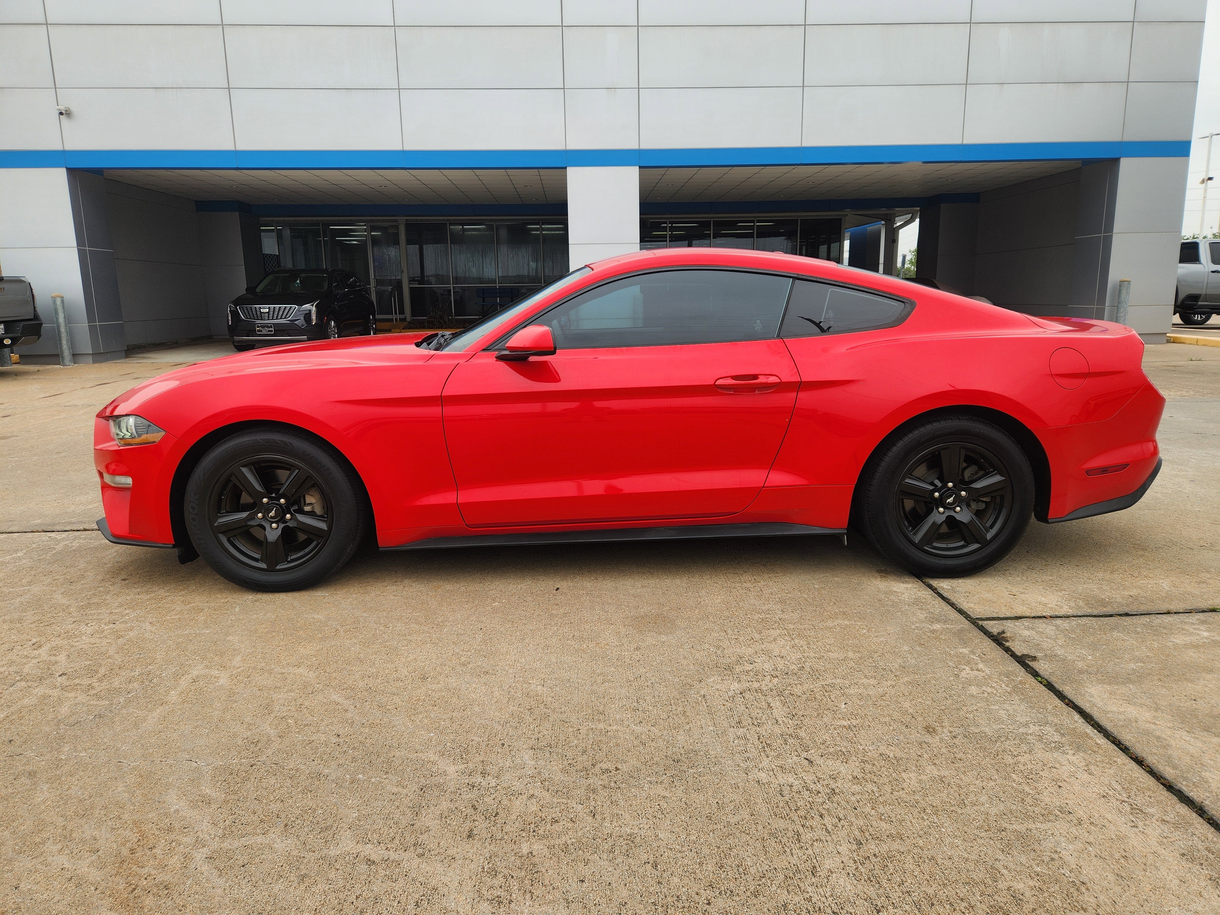 2019 Ford Mustang EcoBoost