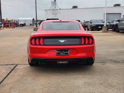 2019 Ford Mustang EcoBoost