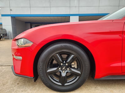 2019 Ford Mustang EcoBoost