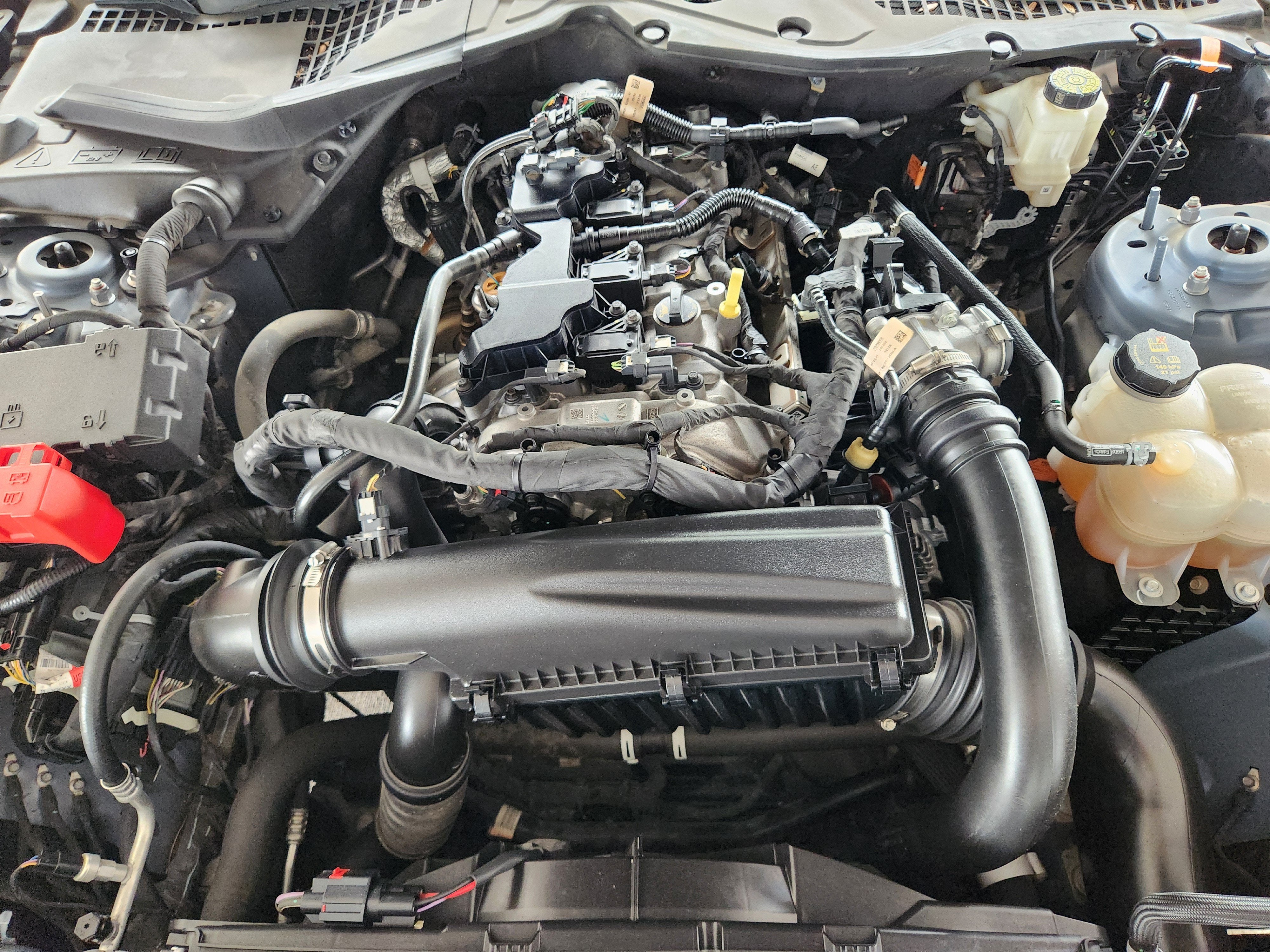 2024 Ford Mustang EcoBoost Premium Fastback