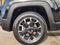 2023 Jeep Renegade Upland 4x4